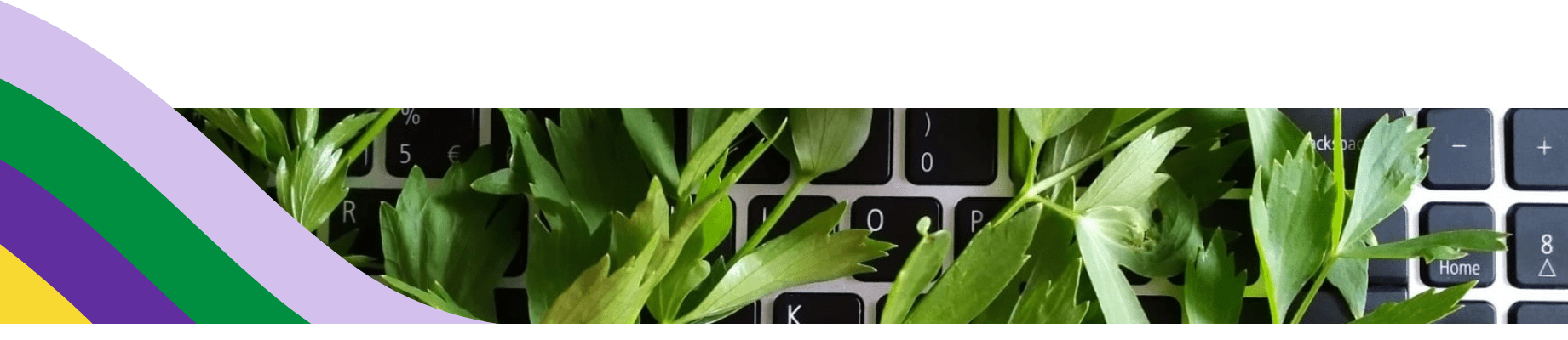footer website: links bedrijfskleuren in regenboog, rechts toetsenbord en takjes lavas